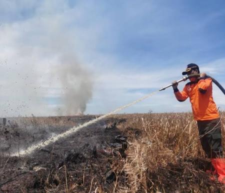 Ilustrasi hotspot di Riau masih bermunculan (foto/int)